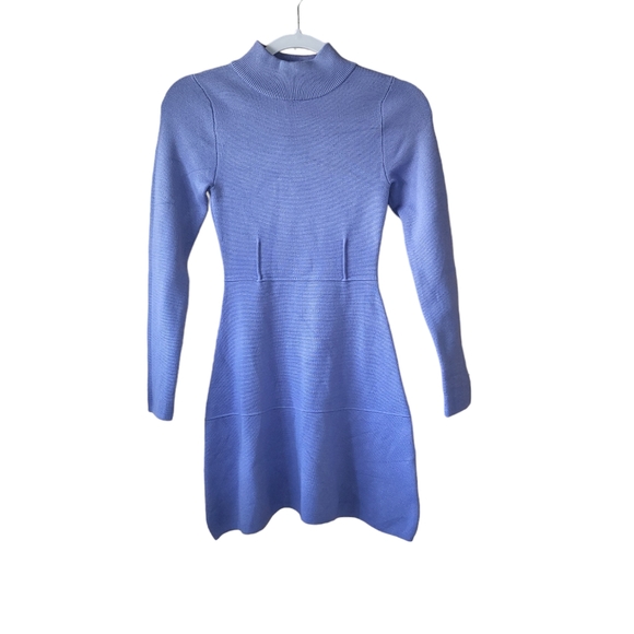 Zara Ribbed Knit Seamed Turtleneck Long Sleeve Skater Dress - Picture 2 of 6